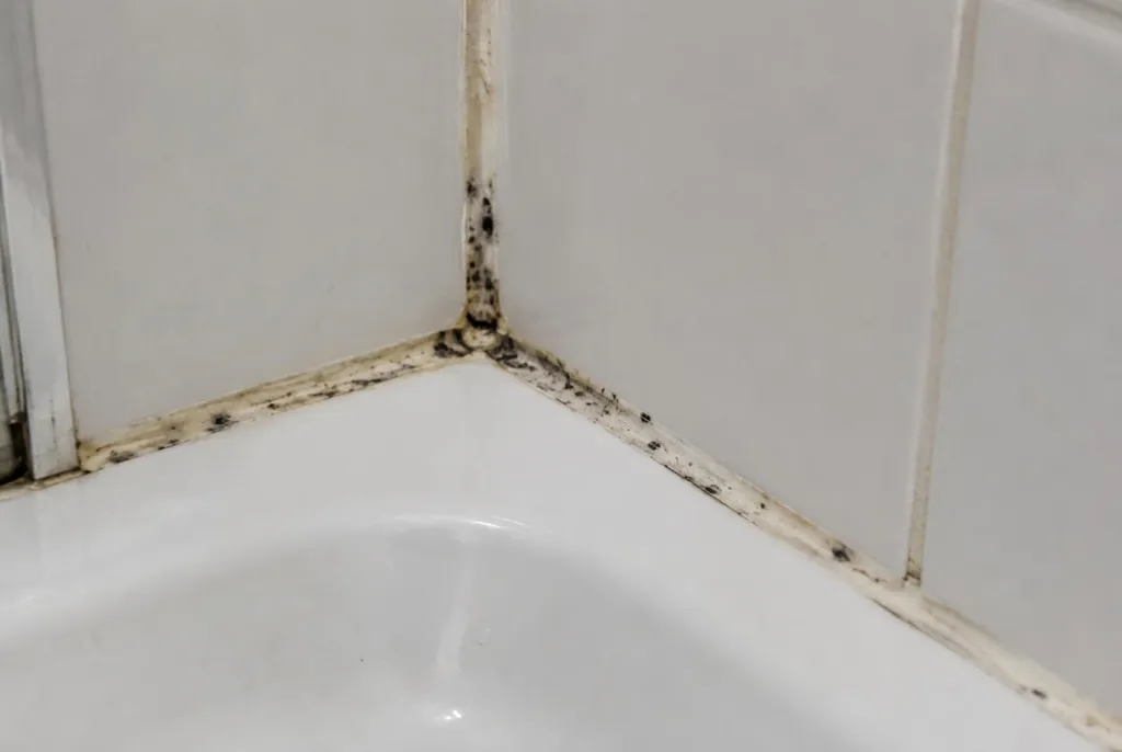 Kitbedrijf Markelo – beschimmelde kitranden
